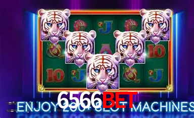 Flash Promotion 6566bet